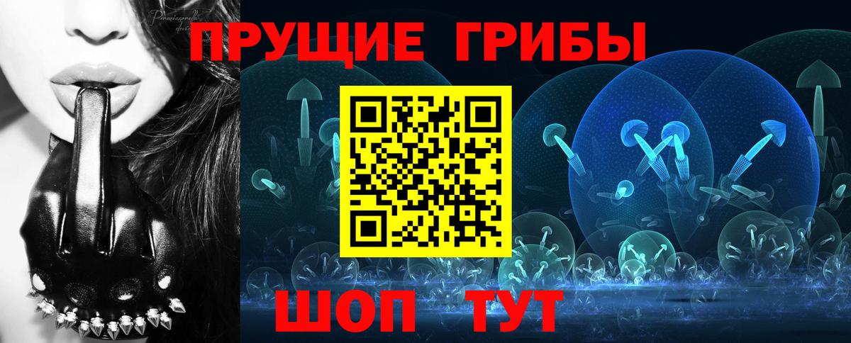 Галлюциногенные грибы Psilocybe  Вход с VPN  Галлюциногенные грибы Magic Shrooms  Куйбышев 